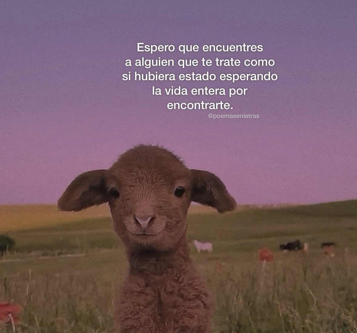 dilocondibujos_'s tweet photo. Espero https://t.co/clPov8y1B8
