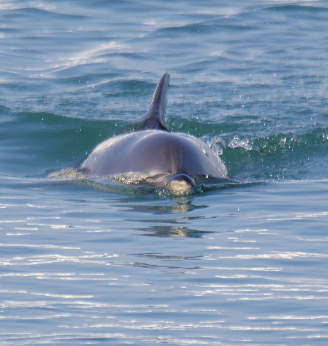 Tim Ridgeway tweet media