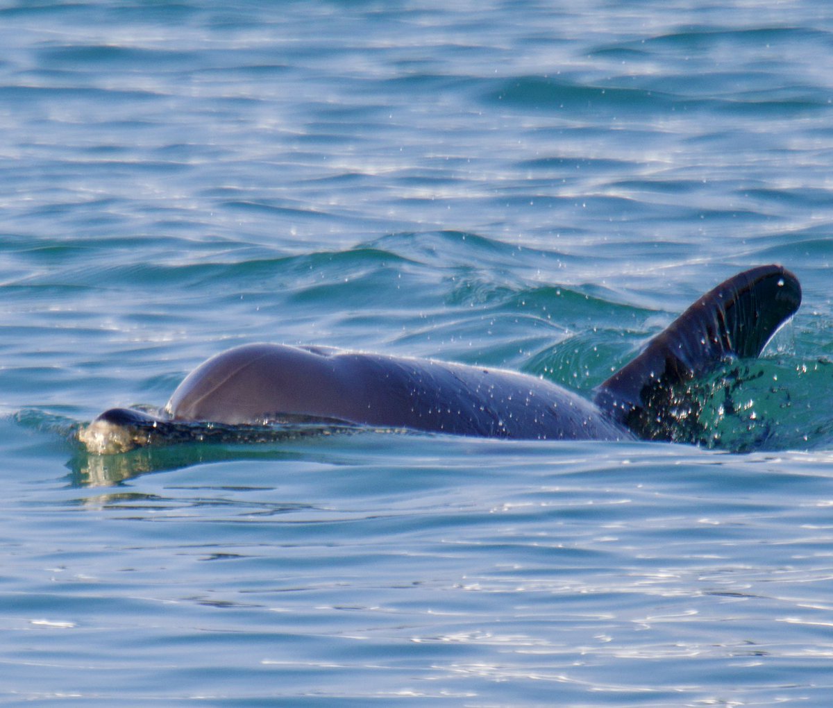 Tim Ridgeway tweet media