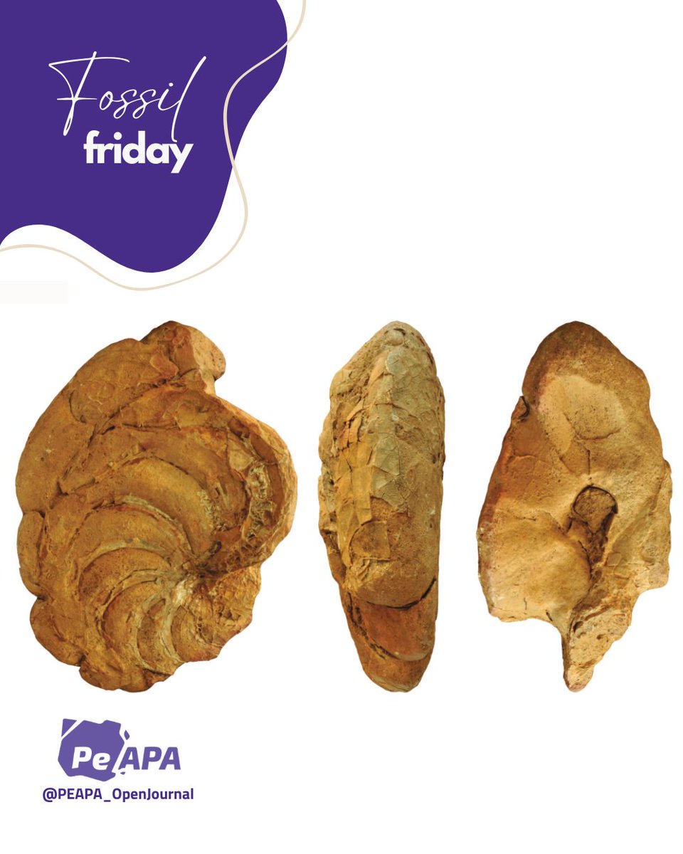 PE-APA Journal (Open Access) tweet media