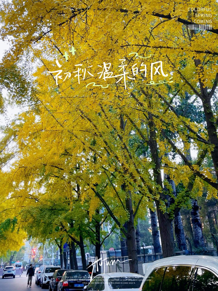 PhilippeBourbon tweet media