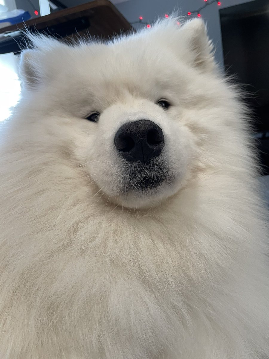 wayneradiotv tweet media