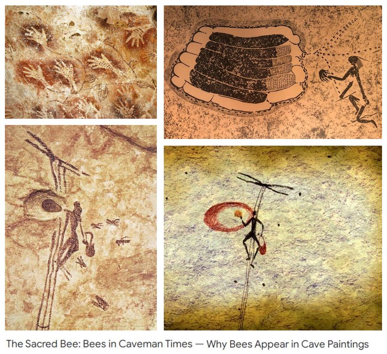 David Vio tweet media