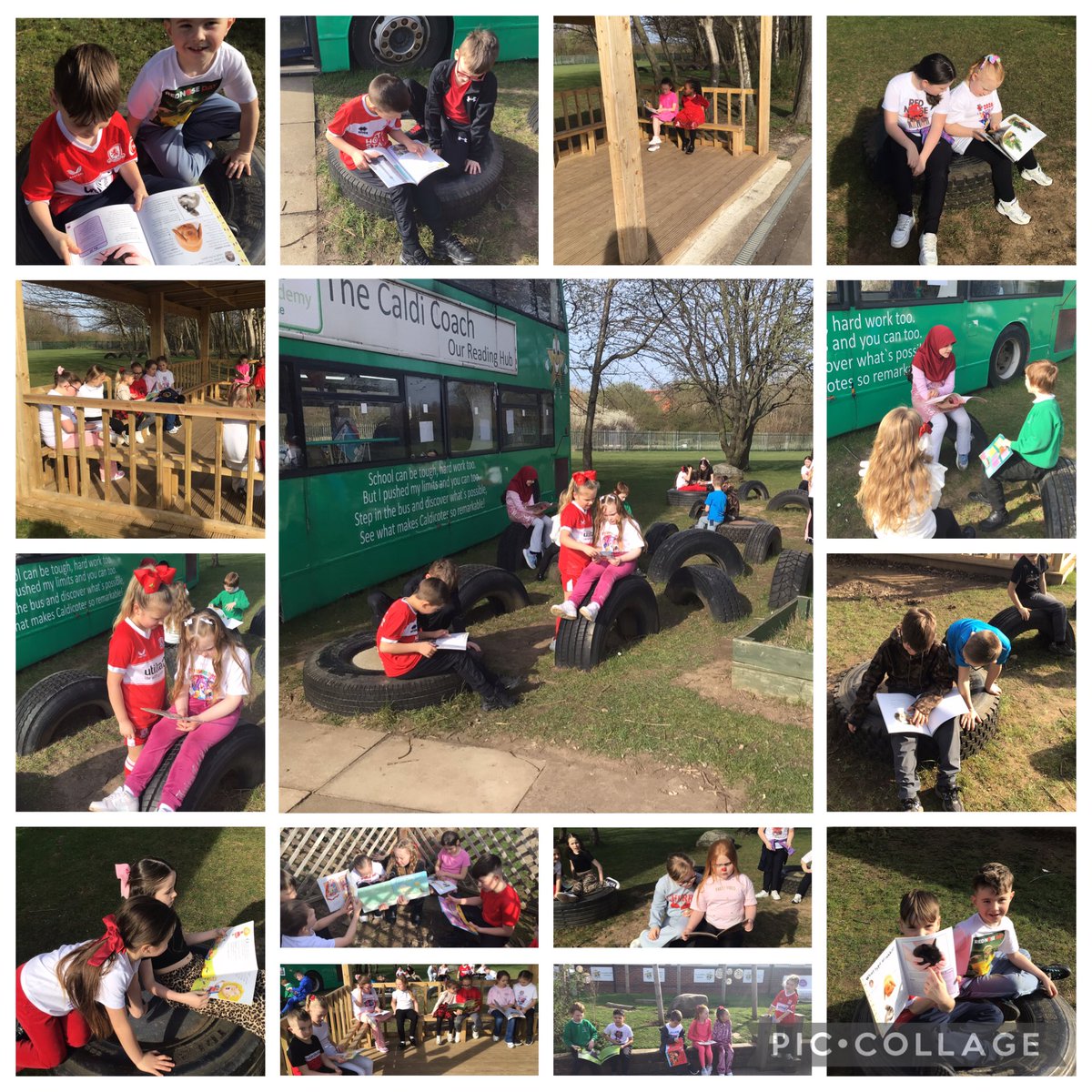 @CaldiY2 tweet media