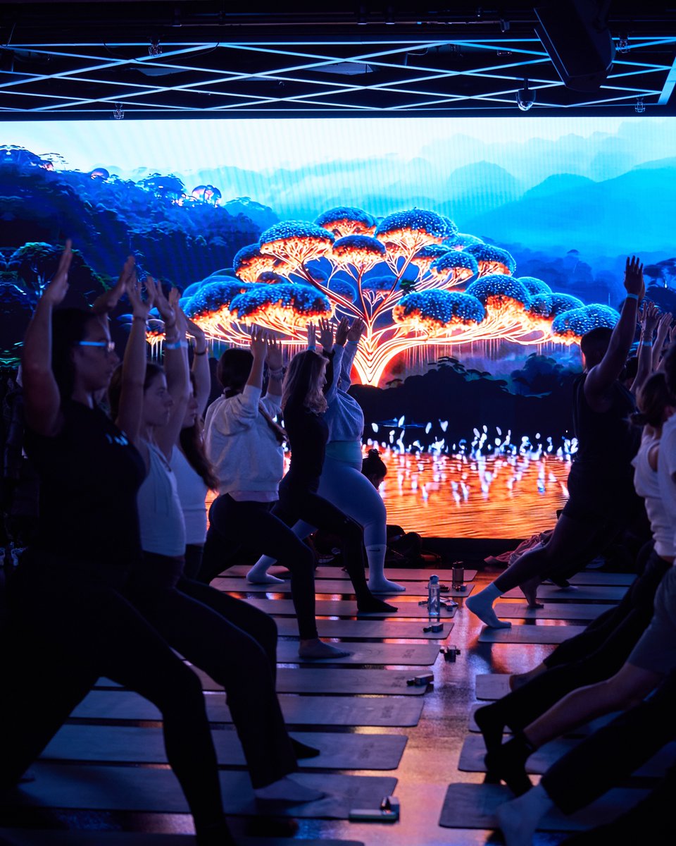 W1 Curates tweet media