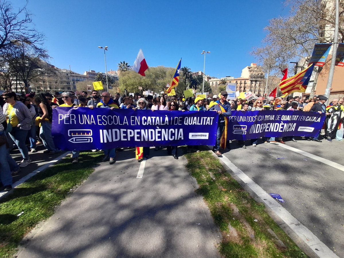 dani carulla tweet media