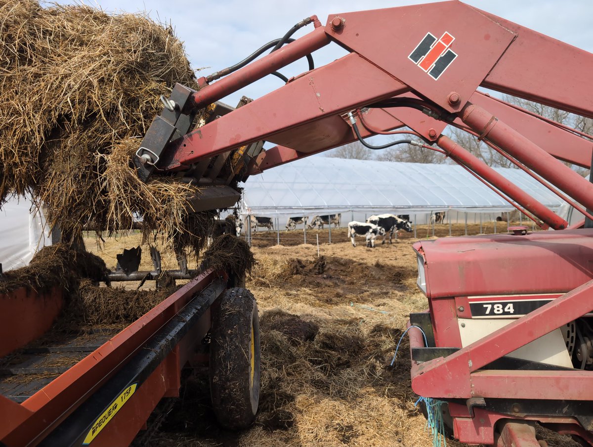 willy denner tweet media