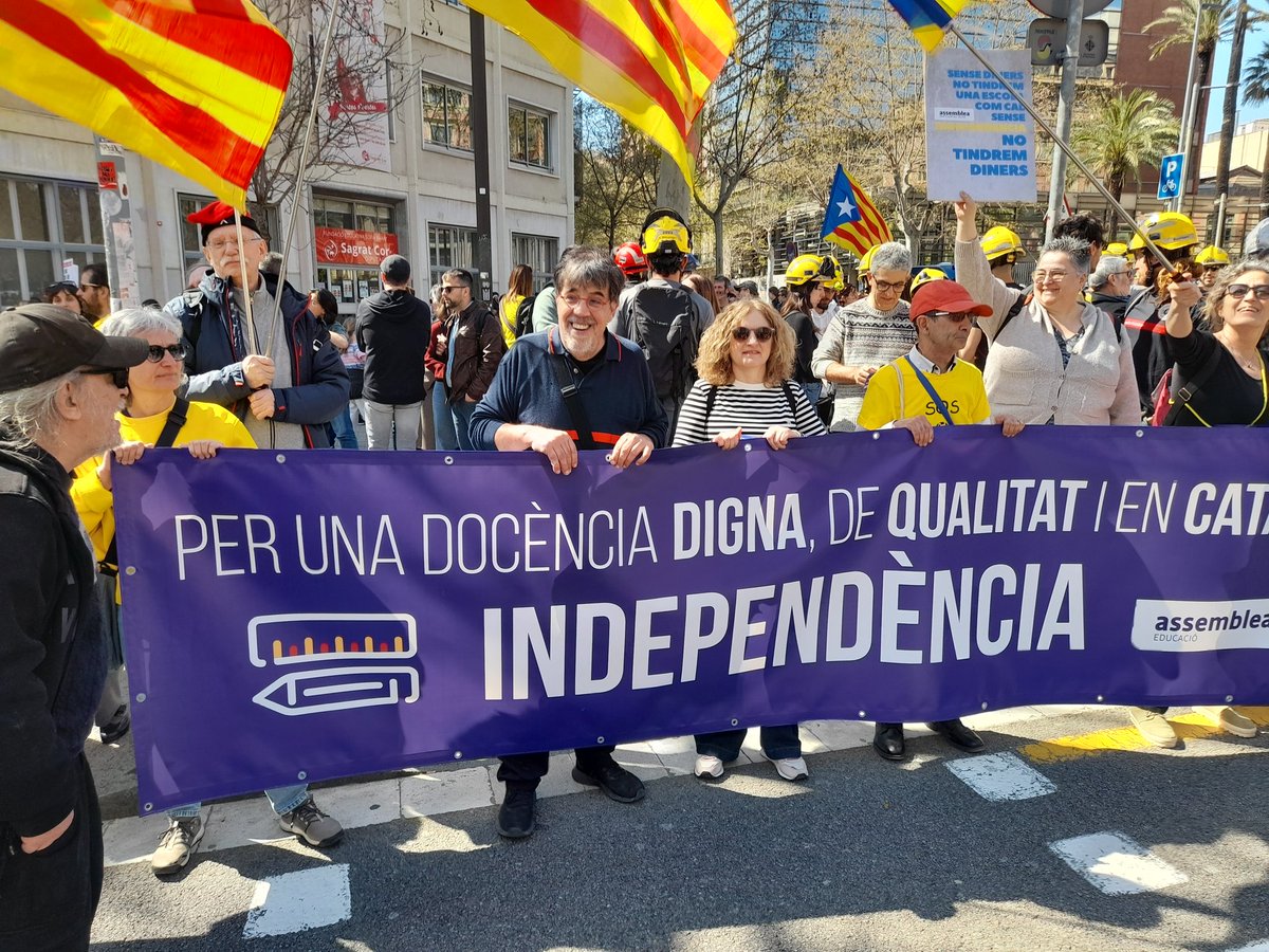 dani carulla tweet media