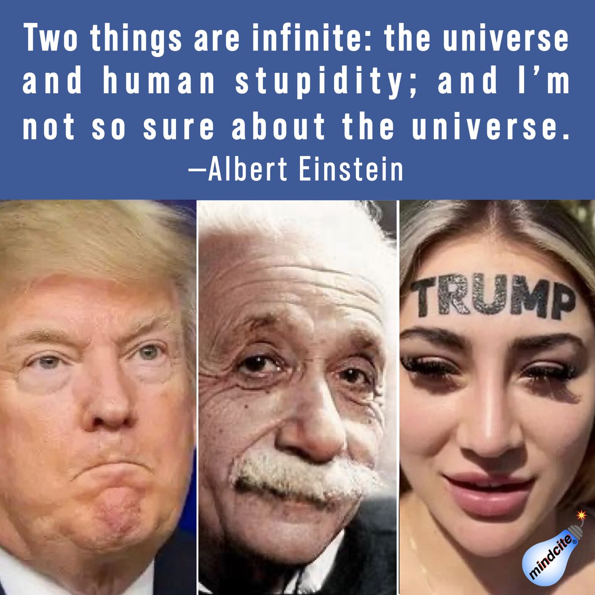 Mindcite💥 tweet media