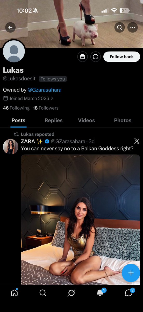 ZARA ✨ tweet media