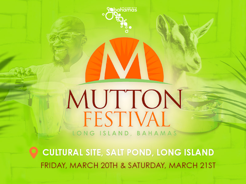 The ZNS Network tweet media