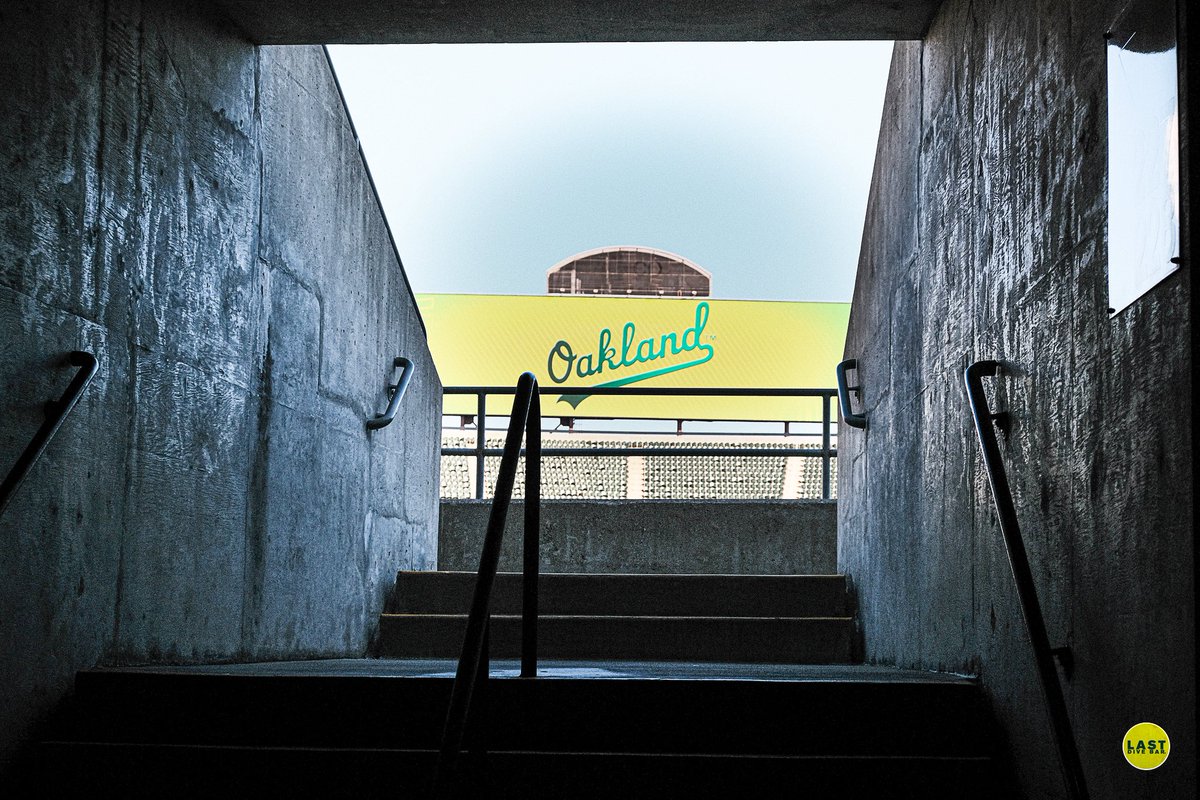 Last Dive Bar 🏟 tweet media