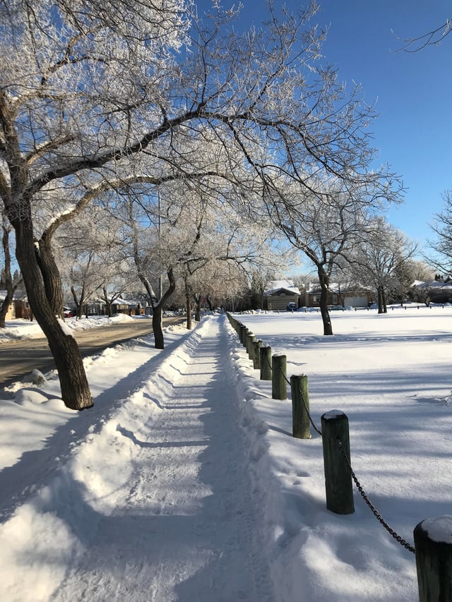 sam 🏒 tweet media