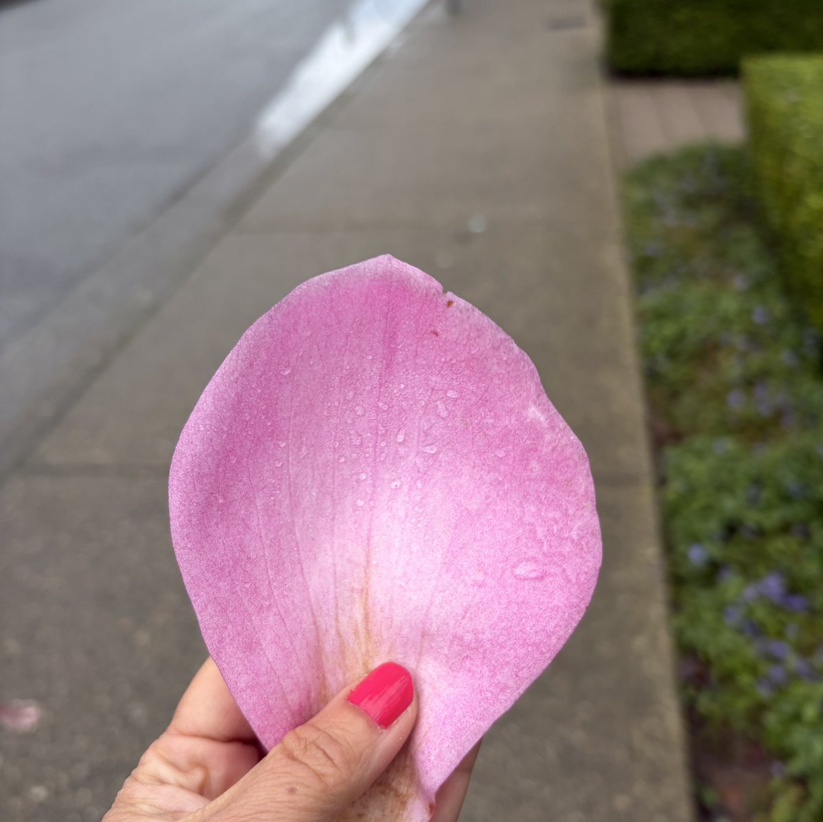 deepa 🏴☠️ tweet media