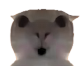 geee (cm temporarily close) tweet media