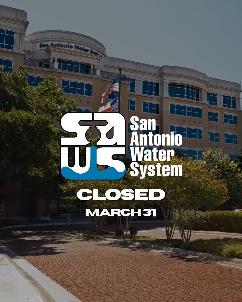 𝐒𝐀𝐖𝐒 🪴🐝 🌺 tweet media