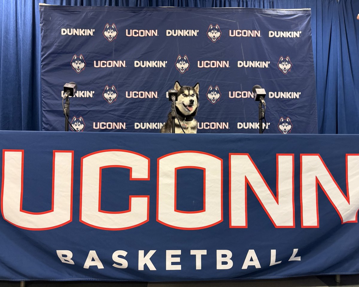 Jonathan the Husky tweet media