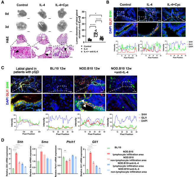 Waggoner Lab tweet media