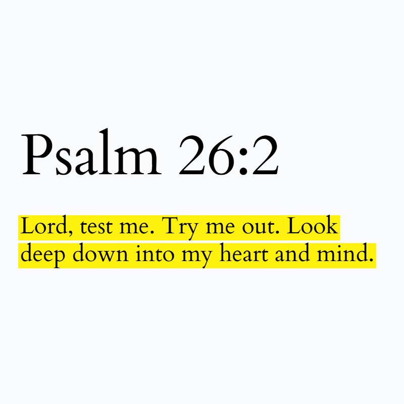 Holy Bible tweet media