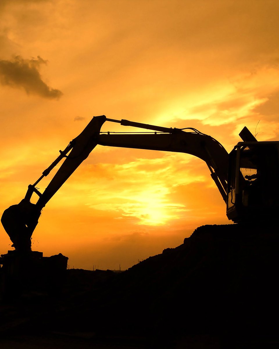 DailyReporter tweet media