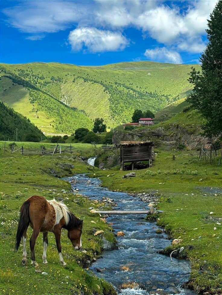 𝑺𝒆𝒓𝒆𝒏𝒍𝒚 tweet media