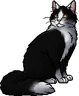 daily warrior cats pairs! tweet media