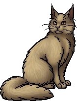 daily warrior cats pairs! tweet media