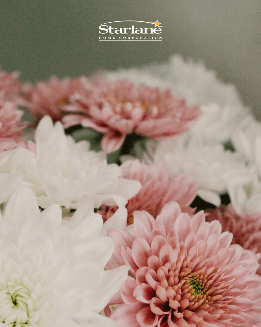 StarlaneHomes's tweet photo. A Fresh Season of Home

Spring marks new beginnings and new places to call home. Since 1992, Starlane Home Corporation has proudly built over 12,500 homes across the GTA, helping families plant roots and create lasting memories. https://t.co/JKzyKvTfNC