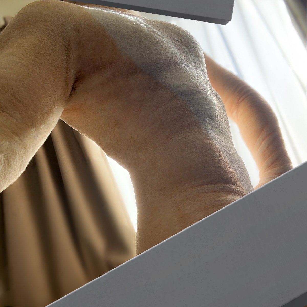 そーと🍀 tweet media