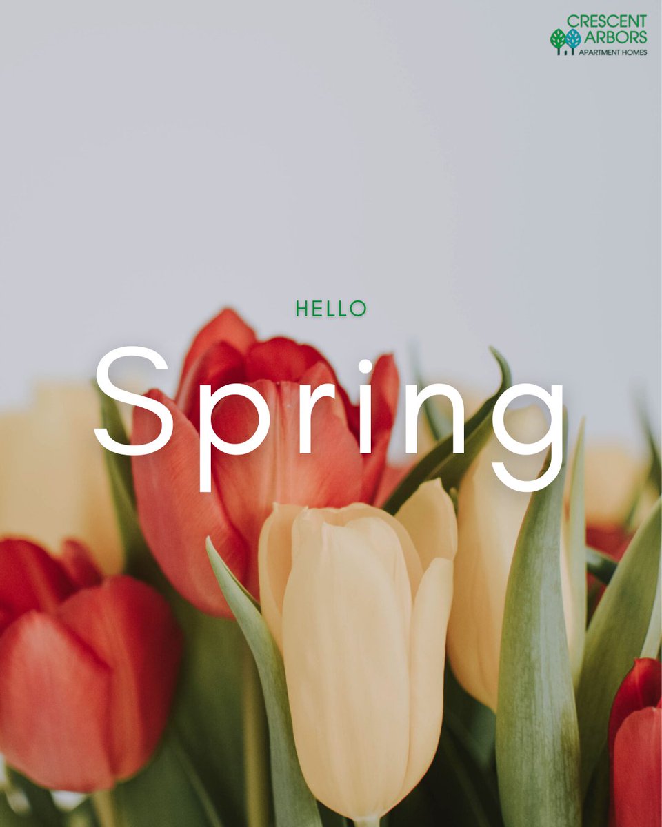 ArborsHomes's tweet image. Step into spring with a place that feels like home! Now leasing for the season ahead! 🌷🏡 #springmove #apartmentliving #homegoals #springtime