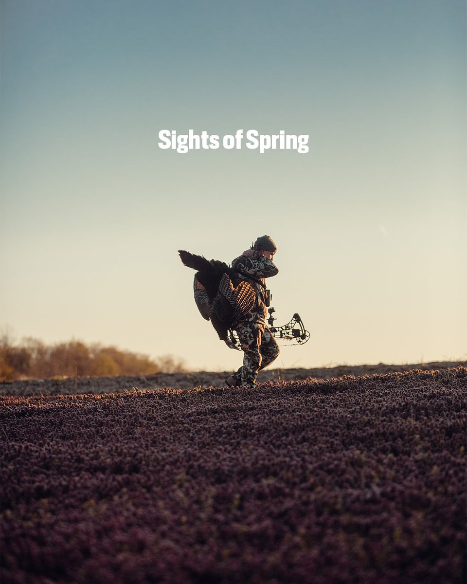 First Lite tweet media