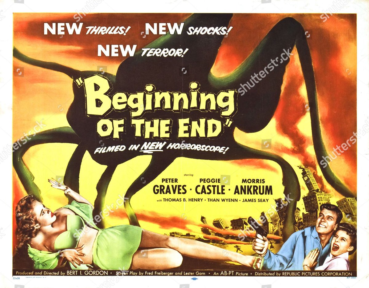 BMovieManiacs tweet media