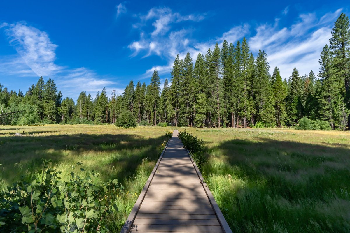 CA State Parks tweet media