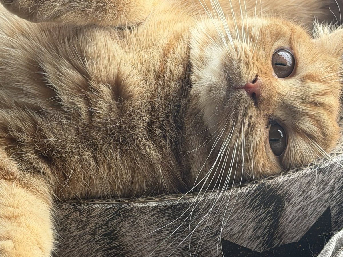 丸山 浩 Hiroshi Maruyama tweet media