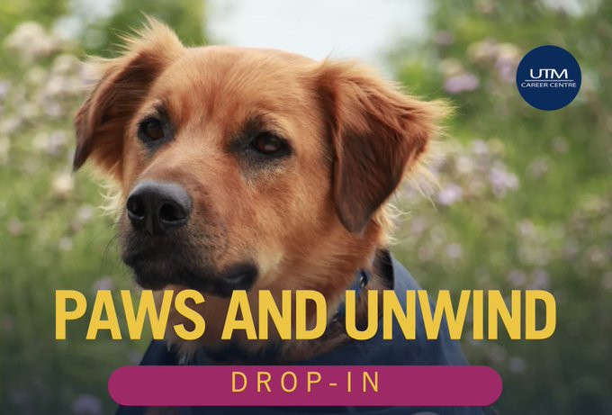 U of T Mississauga tweet media