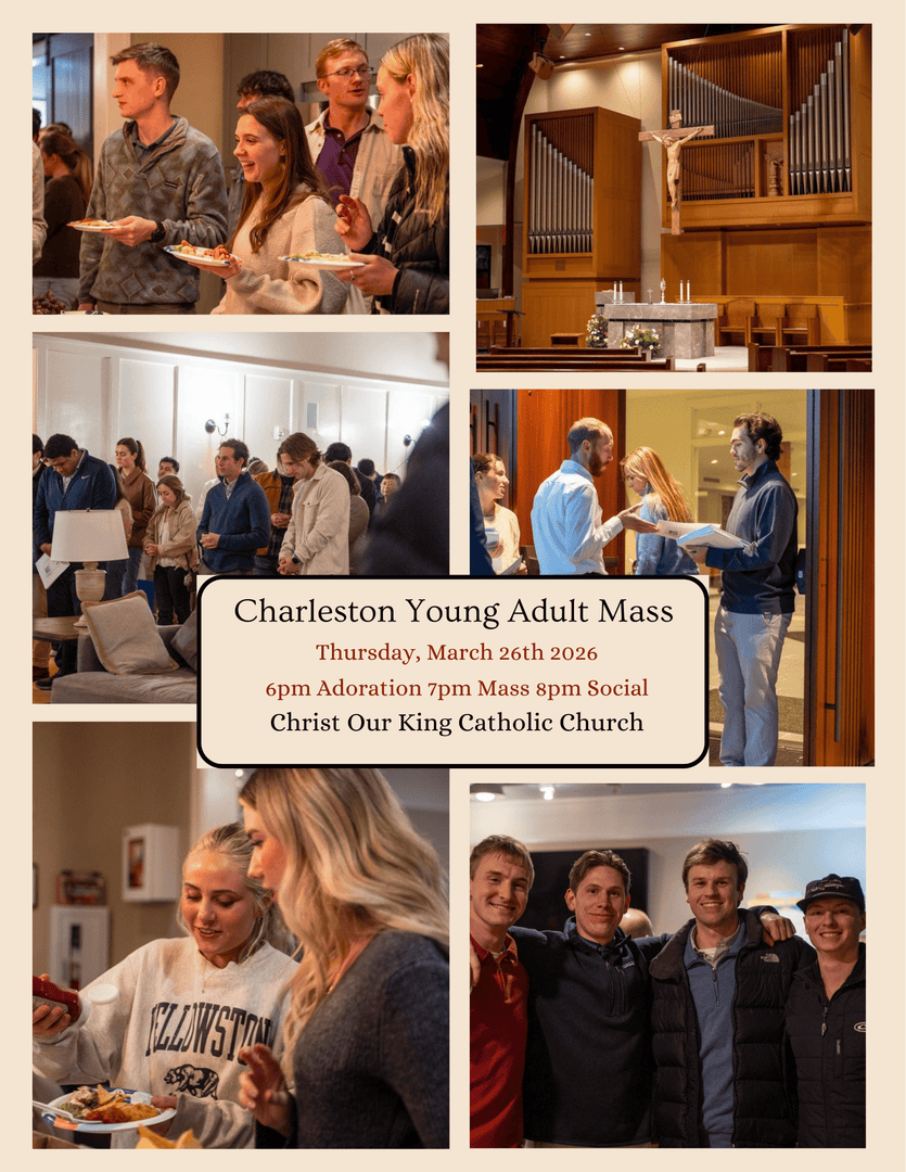 Diocese of Charleston tweet media