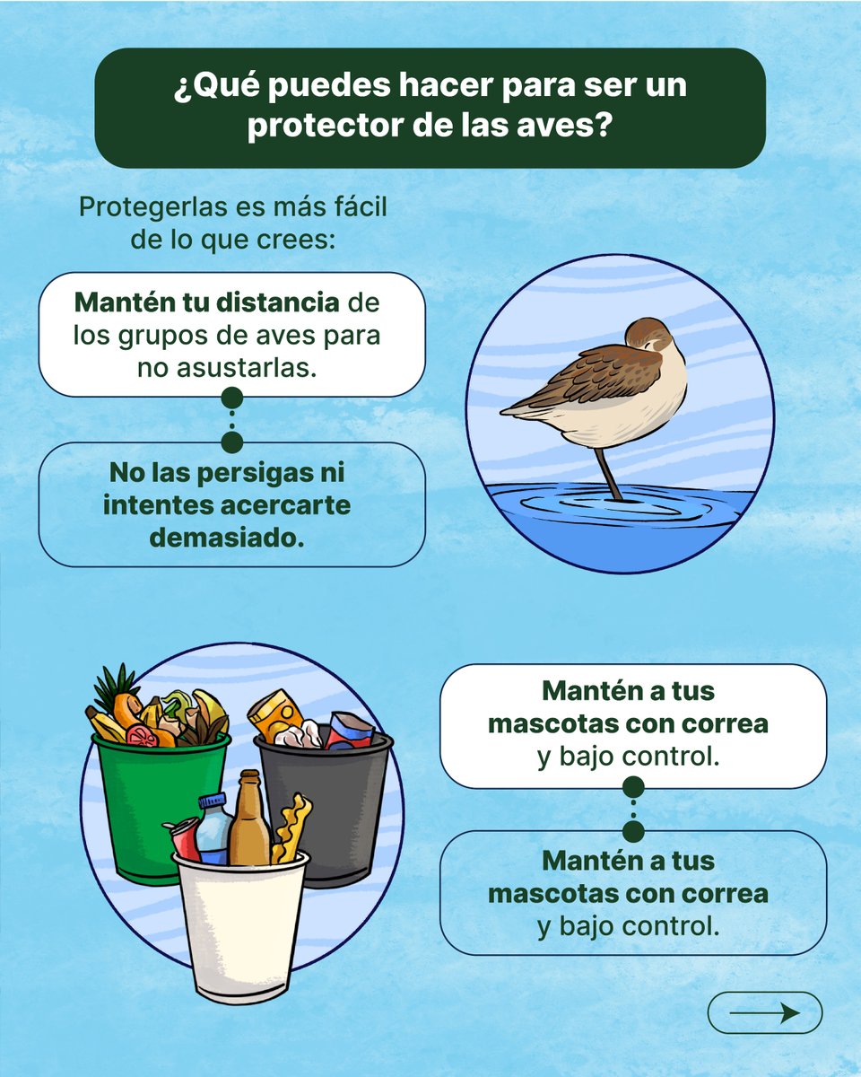 Defensores de la Naturaleza tweet media