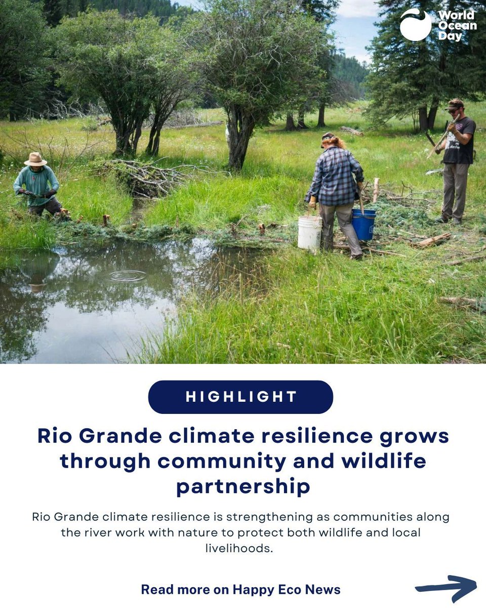 World Ocean Day tweet media