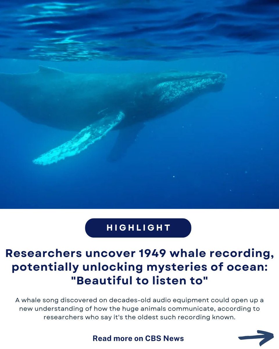 World Ocean Day tweet media