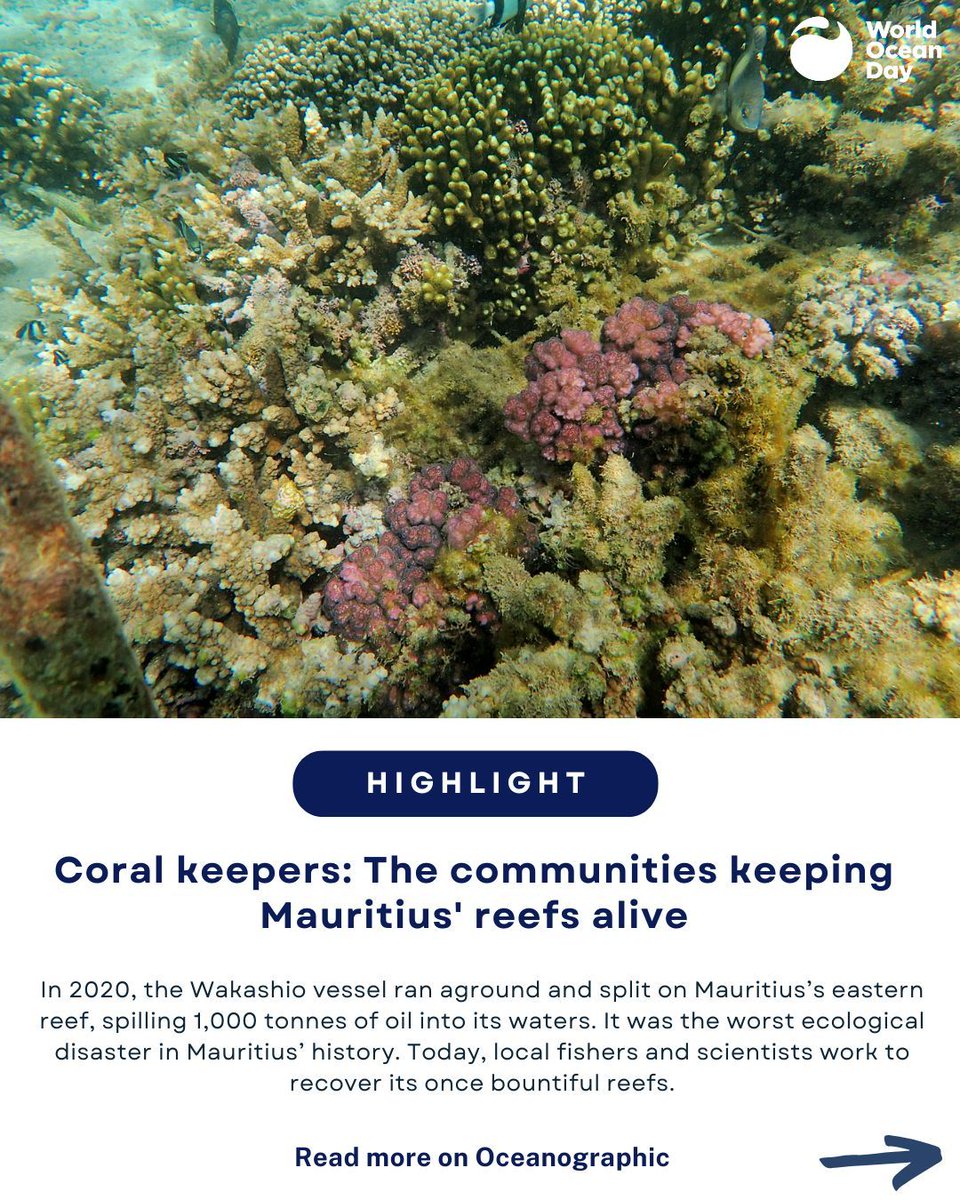 World Ocean Day tweet media