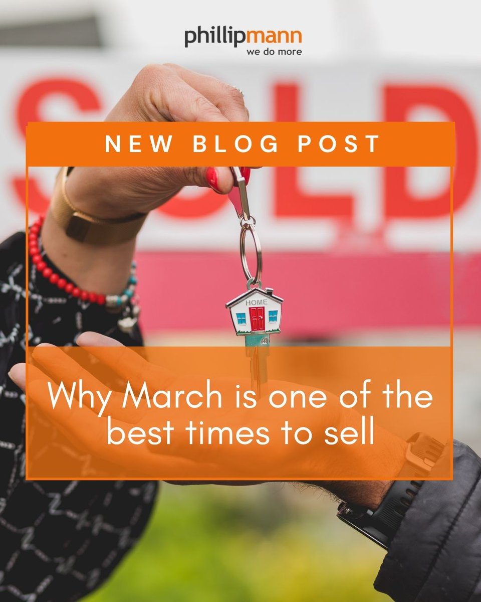 Phillip Mann tweet media