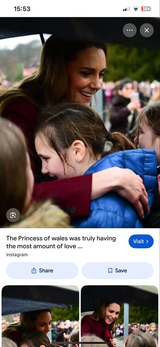 Rosa Alongi tweet media