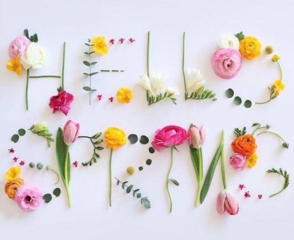 Anna & Todd Orme tweet media