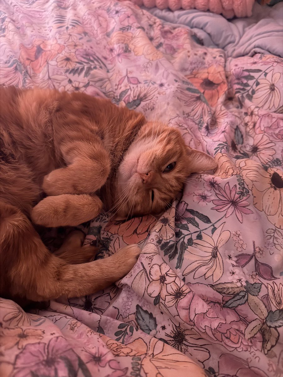 𝚂𝚊𝚖𝚊𝚗𝚝𝚑𝚊 🌸 tweet media