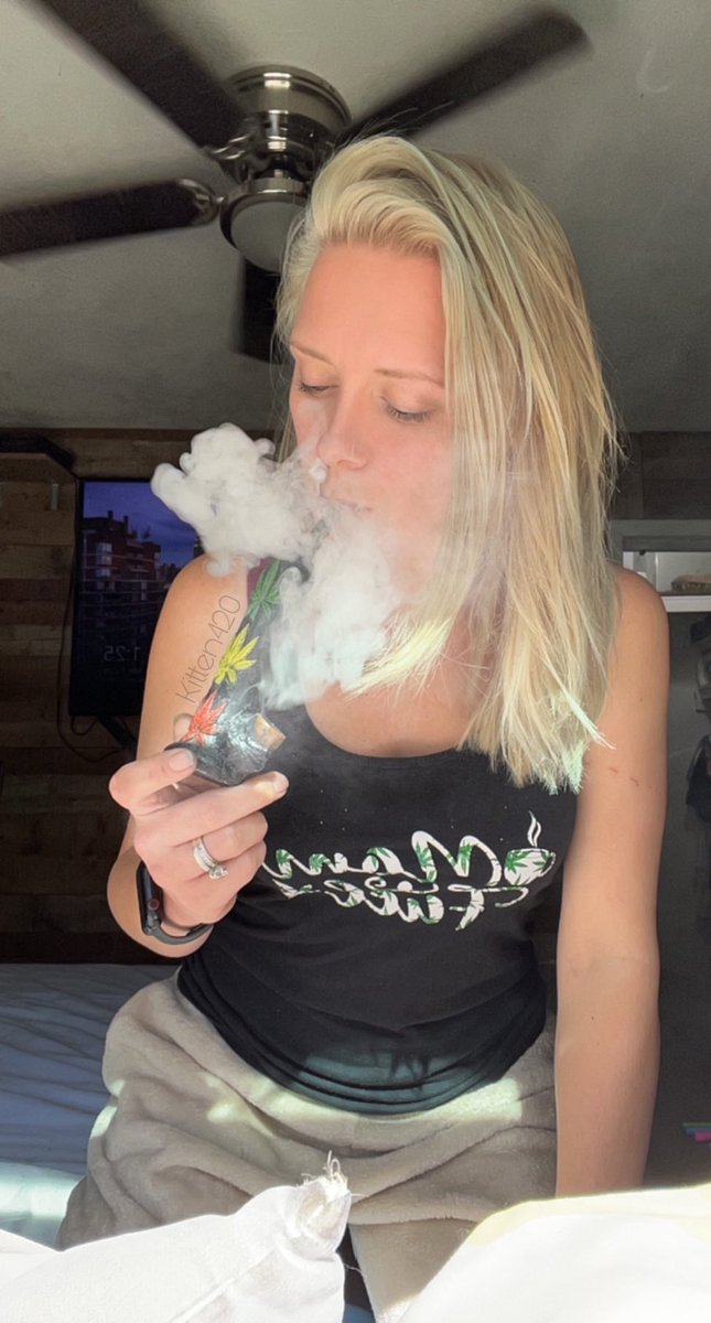 Kitten ^•⩊•^ tweet media