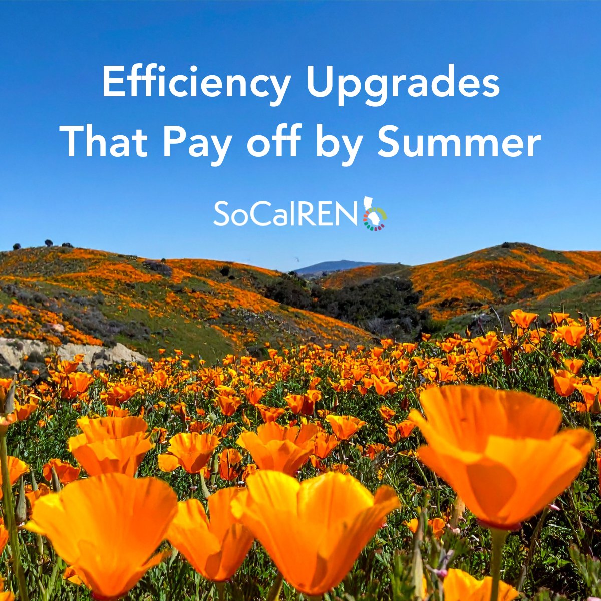 SoCalREN tweet media