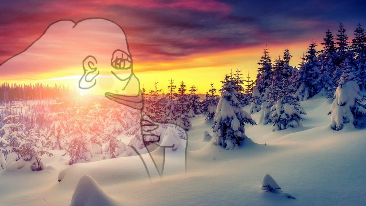 Truculent Snow Groyper tweet media