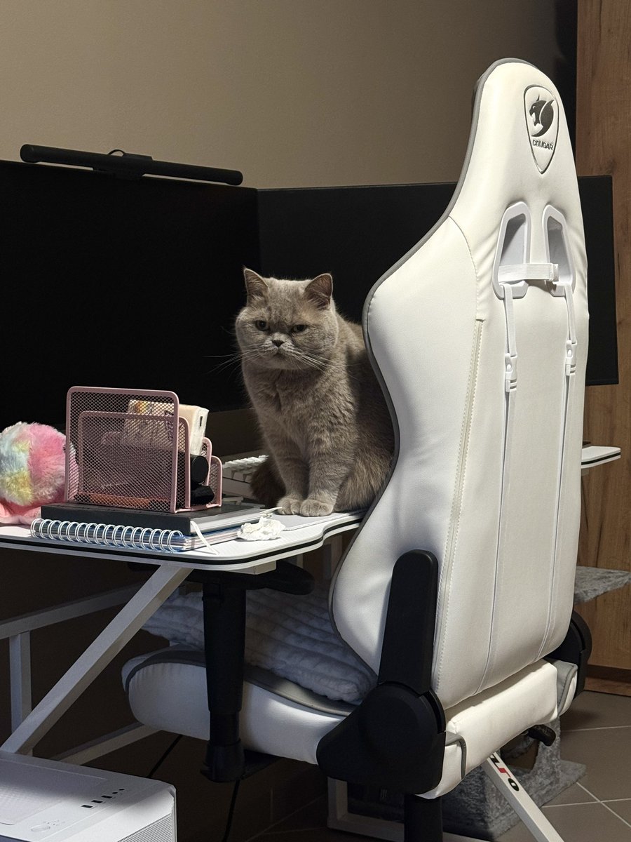 Alinetla🦋 tweet media