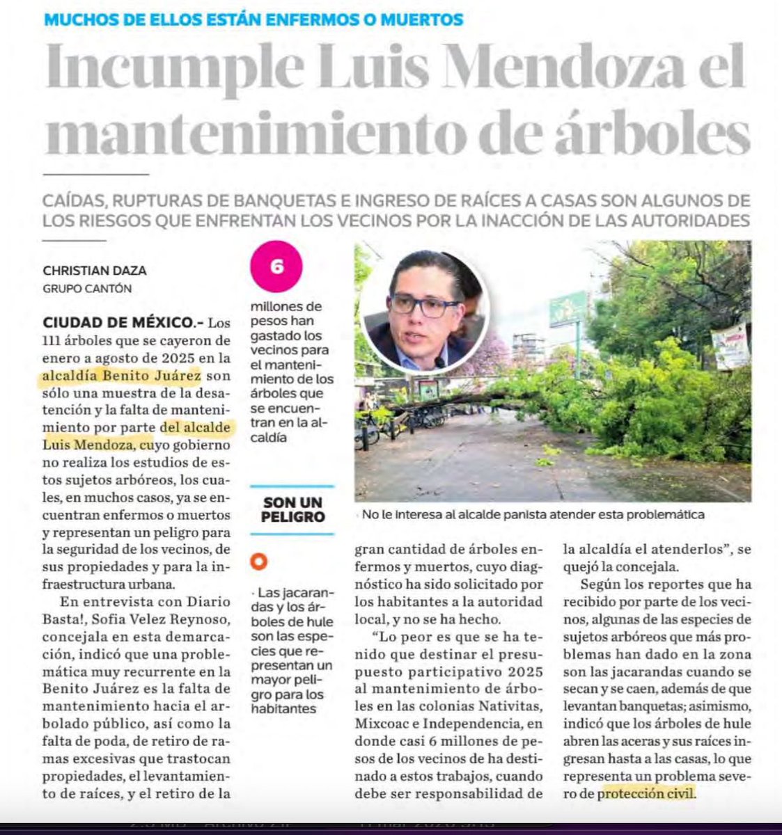 Sof Vélez tweet media