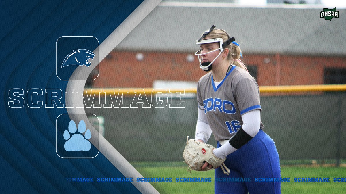 Springboro Softball tweet media